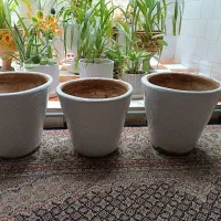 3 گلدان سفالی