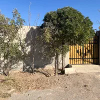 فروش باغ ۱۰۰۰ متری|فروش خانه و ویلا|پلنگ آباد, |دیوار