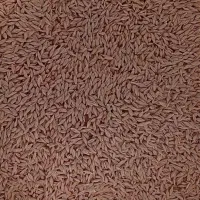 جو بذری،آبی، مهتاب