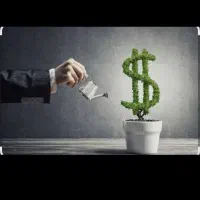 سرمایه گذاری( سرمایه شمارادر 3 ماه دو برابر میکنم)