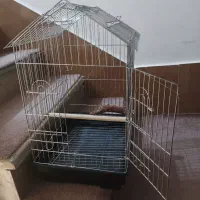 قفس عروس هلندی