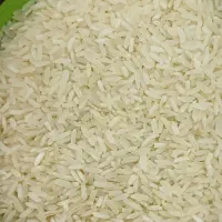 عمده برنج فجر ایرانی با بذر برنج طارم نورابادی