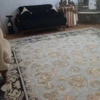 فرش ۱۲ متری خوش طرح|فرش|تهران, ترمینال جنوب|دیوار