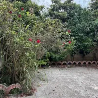 ویلا-240-متر-زمین-در-آمل-20-کیلومتری-محمود-آباد