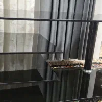 زیر تلویزیون شیشه ای