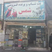 اجاره مغازه تجاری به متراژ ۳۷ متر میدان کرج|اجارهٔ مغازه و غرفه|کرج, چمران|دیوار