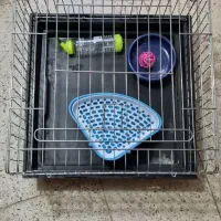 قفس خرگوش با لوازم قفس همستر قفس خوکچه هندی