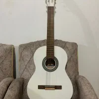 گیتار کلکسیونی