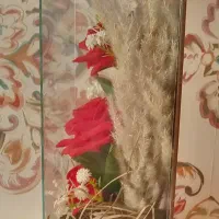 باکس گل رز|گل مصنوعی|پرند, فاز ۱|دیوار