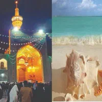 تور ریلی دی ماه اقساطی مروارید زاگرس