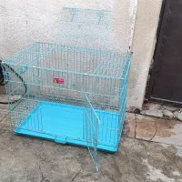 قفس