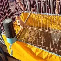 شهرستان‌ حمیدیه