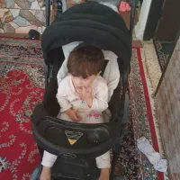 کالسکه دلیجان|کالسکه و لوازم جانبی|شیراز, شهرک مهدیآباد|دیوار