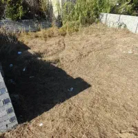 200-متری-سند-تک-برگ-مسکونی