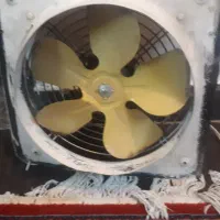 فن ایتالیایی قدیمی درحدنو