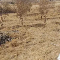 چشمه و باغ|فروش زمین و ملک کلنگی|بلبان آباد, |دیوار