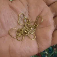 ۲۶ گرم طایی سالم|جواهرات|صحنه, |دیوار