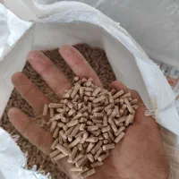زیر آبی پلیت