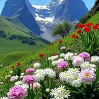 گروه کوهنوردی و دورهمی