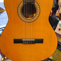 گیتار پارسی m2|گیتار، بیس، امپلیفایر|محمدیه-قزوین, |دیوار