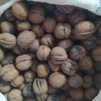 حبوبات|حراج|بومهن, |دیوار