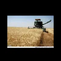 ۲ هکتار زمین کشاورزی یک تیکه درجه یک کوزران سنجابی|فروش دفتر صنعتی، کشاورزی، تجاری|کوزران, |دیوار