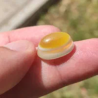 سه پوست کهنه|جواهرات|تهران, نعمت‌آباد|دیوار