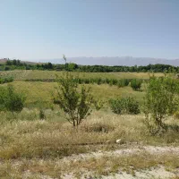 فروش زمین جهت احداث باغ|فروش دفتر صنعتی، کشاورزی، تجاری|کوار, |دیوار