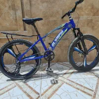 دچرخه ۲۴ در حد نوع