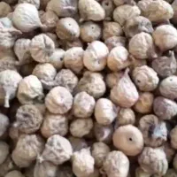 انجیر استهبان|خوردنی و آشامیدنی|شیراز, فضل‌آباد|دیوار
