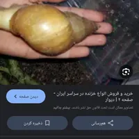 حلزون برای پپست
