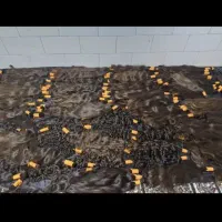 خریدار اصلی موی بانوان
