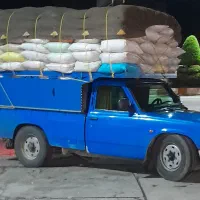 کود حیوانی مرغوب گوسفندی و گاوی