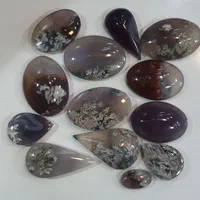 مجموعه ۳۵ عددی شجر فردوس بهاره