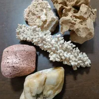 پنج عدد سنگ آکواریوم همه با هم