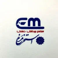 استخدام نیروی فنی