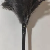 گردگیر با پر شترمرغ