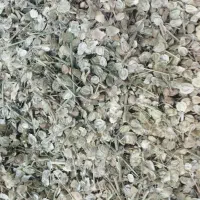 گلپر . کرسو