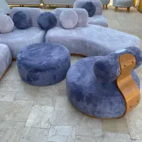 استخدام روکوب