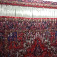 فرش هریس تاجری|فرش|تبریز, |دیوار