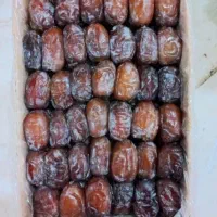 عرضه مستقیم خرما و رطب درجه یک|خوردنی و آشامیدنی|مشهد, کوی دروی|دیوار