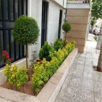 باغبانی،گل کاری باغچه،تعویض خاک،نگهداری دوره ای