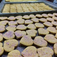 انواع شیرینی خشک و تر کارگاه قنادی|خوردنی و آشامیدنی|ساوه, |دیوار