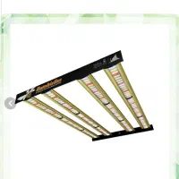 ال ای دی رشد گیاه