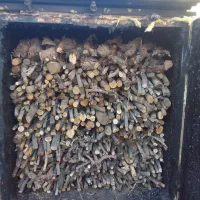 زغال کبابی یال بلند