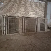 قفس سگ مرغ و خروس بوقلمون گوسفند