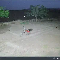 دوربین مداربسته/آی پی/شبکه/پنج مگاپیکسل/گارانتی|دوربین مداربسته|قم, نیروگاه|دیوار