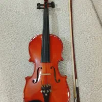 ویلن  مولر 2/4|ویولن|سنندج, |دیوار