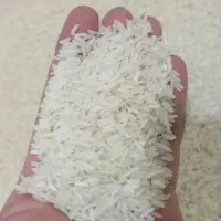 برنج ایرانی طارم فجر|خوردنی و آشامیدنی|یزد, |دیوار