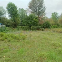 فروش زمین مسکونی با پروانه ساخت|فروش زمین و ملک کلنگی|شاندرمن, |دیوار